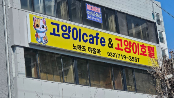 KakaoTalk_20250319_125220317.jpg